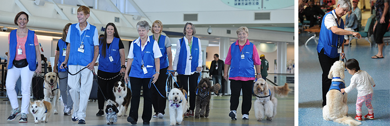 canine interaction program photo